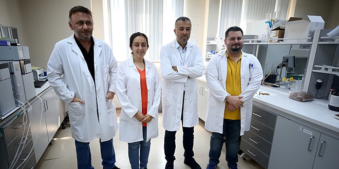 Fındık atıklarından kemoterapi ilacı etken maddesi