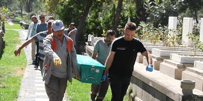 Mezarlıkta, ağaca asılı ceset bulundu
