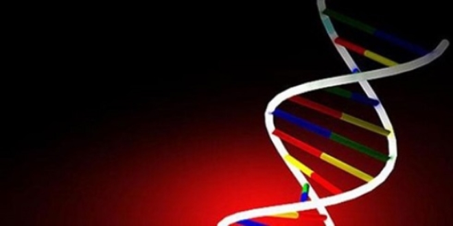 DNA'dan sonra RNA düzenlenebilecek