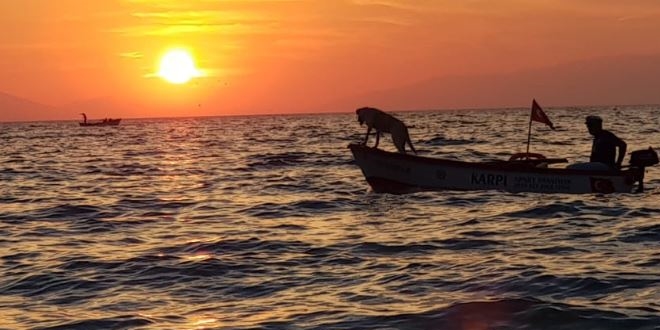 Sonbahar ekinoksu foto�raf tutkunlar�n� bir araya getirdi