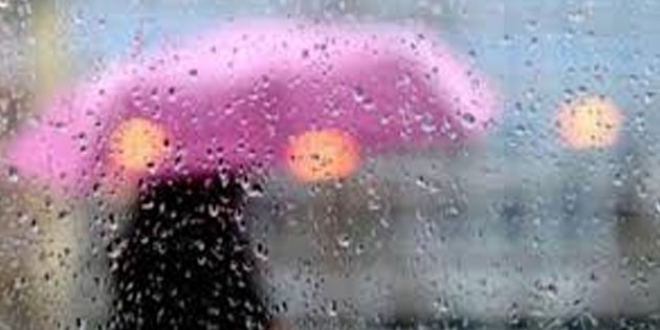 Meteoroloji'den hastalık uyarısı