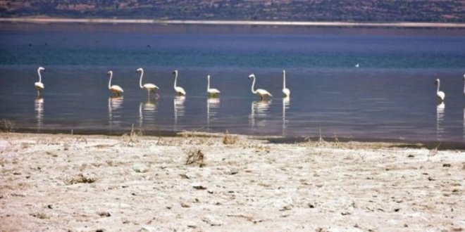 Ak Parti'li vekil, Burdur G�l�'n�n takip�isiyiz