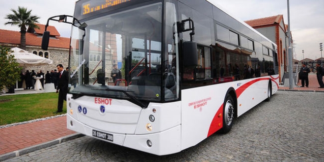 Otobüs şoförü yavru kediyi kurtardı