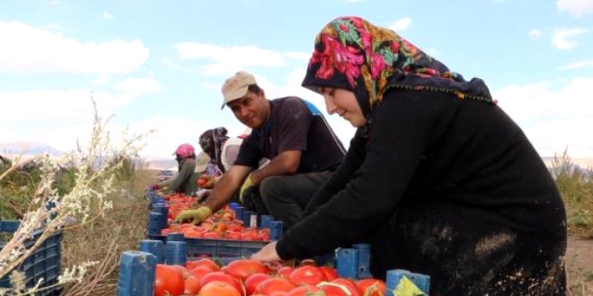 1,5 milyon TL'lik yat�r�mdan olumlu sonu�