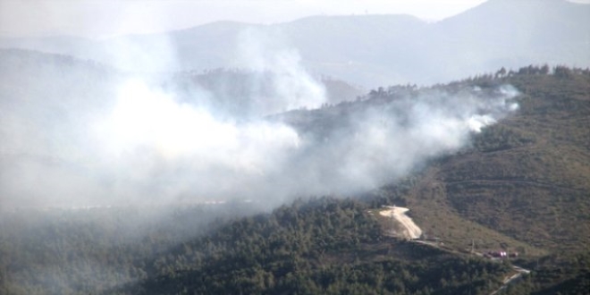 Suriye s�n�r�nda orman yang�n�