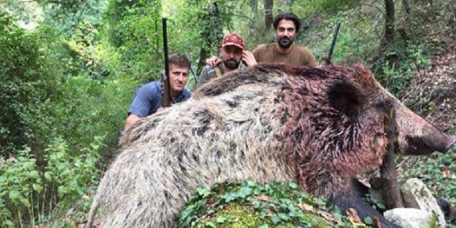 350 kiloluk domuzu vurup, fotoğraf çektirdiler