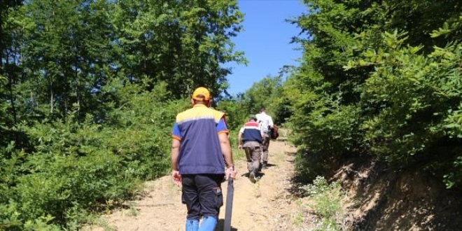 Kastamonu'da mantar toplamaya giden kadın kayboldu
