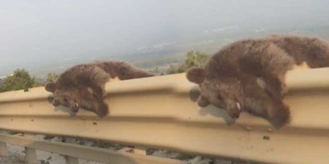 Otoyolda ay� g�renler �ok oldu