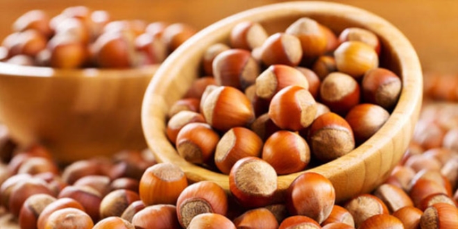 F�nd�ktan elde edilen gelir 10 kat artabilir