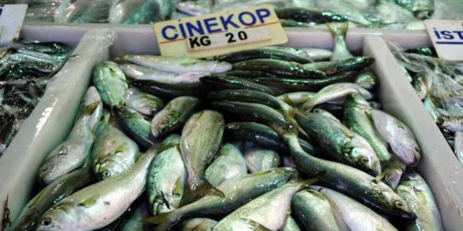 �inekop tezgahlarda yerini almaya ba�lad�