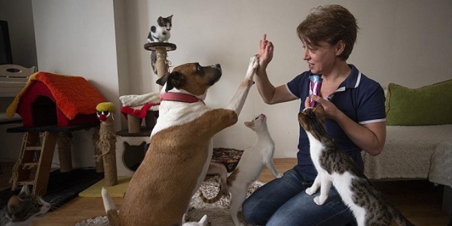 Hayat�n� evinde besledi�i 50 hayvana adad�