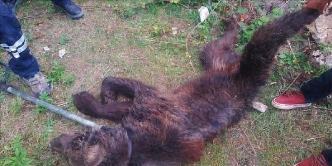 �ehre inen hasta ay� tedavi edildi