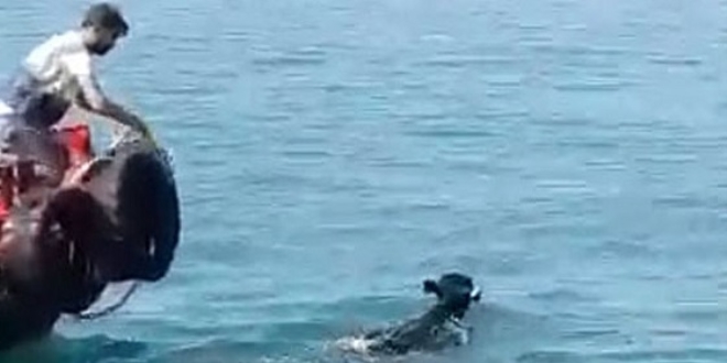 Denizde angus yakalama operasyonu