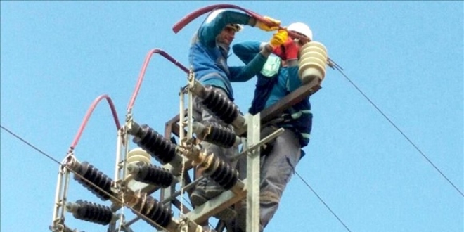 Enerji nakil hatları kuşlar için daha güvenli hale getiriliyor