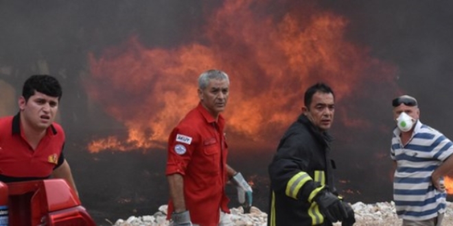 H�rs�zl�k yaparken yang�n ��kard�lar