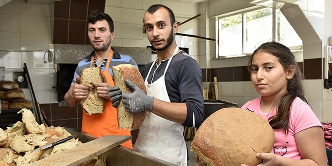 Bu köy buram buram ekmek kokuyor