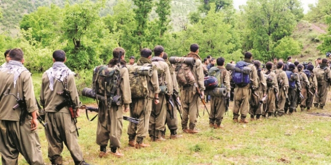 Teröristlere 'Domuz gibi olun' talimatı
