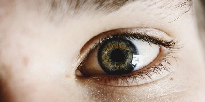 Görme bozukluklarının tedavisi için retina üretildi