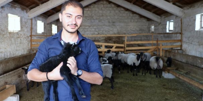 Üniversiteyi yarıda bırakıp, kendi sürüsüne çoban oldu