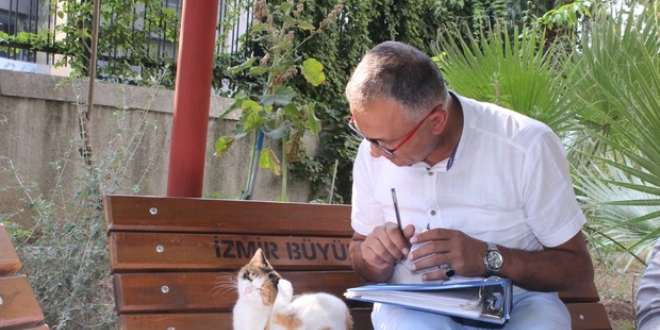 Okulun maskotu kedisi '657'