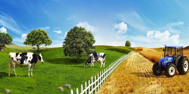 Tar�m Kredi'den 100 �r�nde y�zde 10 indirim