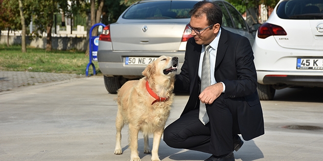 Sokakta yaralı bulundu şimdi okulun maskotu oldu