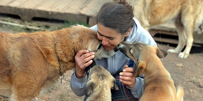 Emekli maa��n� sokak k�pekleri i�in harc�yor