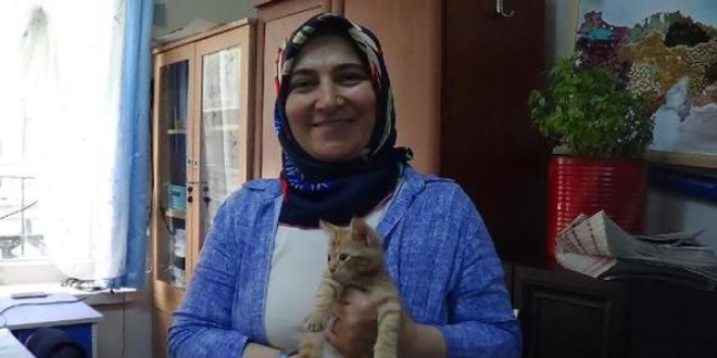 Öğretmenin sahiplendiği kedi okulda ilgi odağı oldu