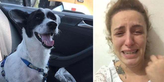 Sosyal medyadaki videoyla tanındı, köpeğini aramak için sokak sokak geziyor