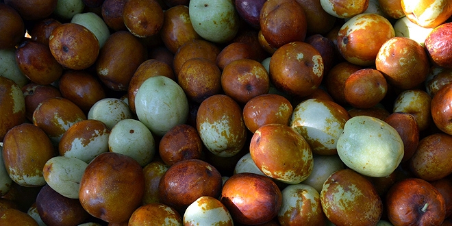 '�l�ms�zl�k meyvesi' misket elmas�na rakip oldu