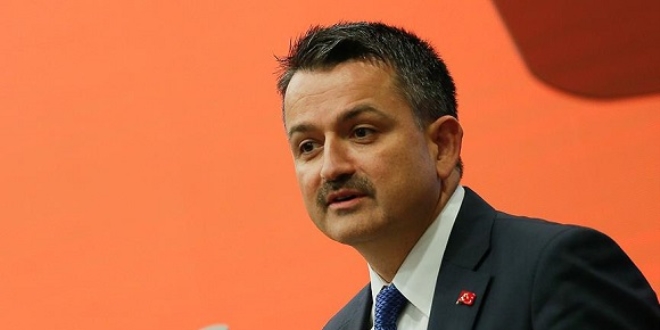 Bakan Pakdemirli'den fındık açıklaması