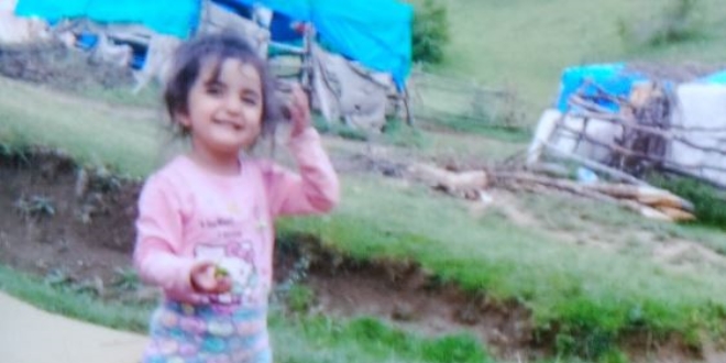Küçük Evrim'den 100 gündür haber alınamıyor