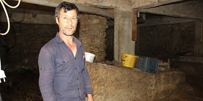 Herkes bu söylentinin doğru çıkması için dua ediyor