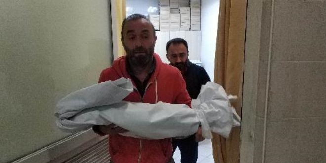 Amasya'da rmaa den otomobildeki 7 aylk bebek kurtarlamad