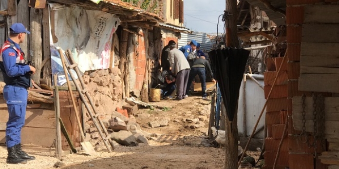 Ağaç kesme tartışması cinayetle sonuçlandı