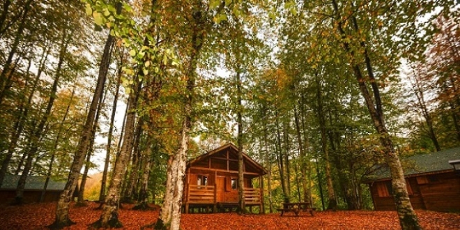 Ulugöl, sonbaharda rengarenk