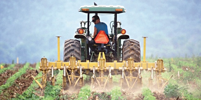 Yabanc�ya kiral�k arazi yok