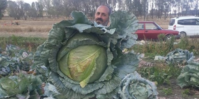Gören gözlerine inanamıyor!