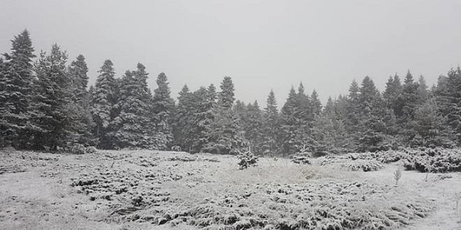 Ankara'ya mevsimin ilk kar dt