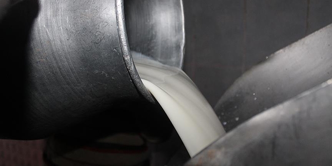 Çiğ süt destekleme ödemeleri yarın başlıyor