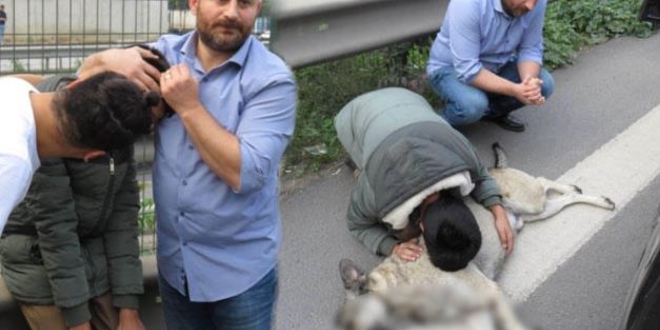 'Yerde yatan k�pe�ini kuca��na ald�, sevdi, �pt�'