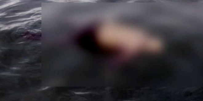 Keban Baraj Gölü'nde ceset bulundu