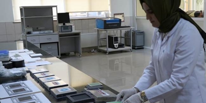 Yüksek verimli yerli 'hidrojen yakıt pilleri' geliştirildi