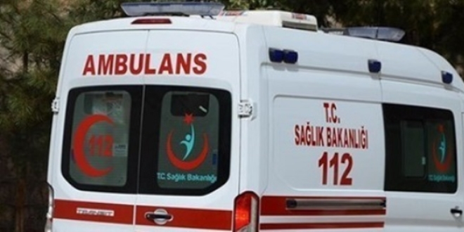 Tavşan avlarken domuz saldırdı