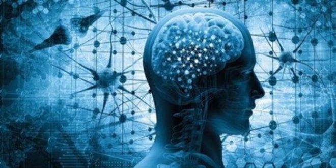 �T� Alzheimer ara�t�rmas� makaleye konu oldu