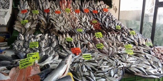 'Türkiye'nin protein ihtiyacını balıkçılar kapattı'