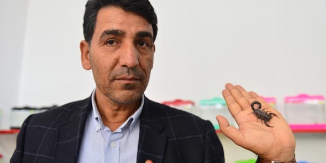 Evinin altında kurduğu tesiste 500 akrepten panzehir üretiyor