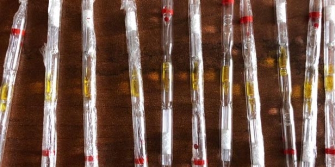 Bir damlas� 8 saniyede bir fili �ld�ren zehirden 500 tane bulundu