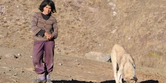 Dağda yaşayan aile hakkında Erzincan Valisi'nden açıklama