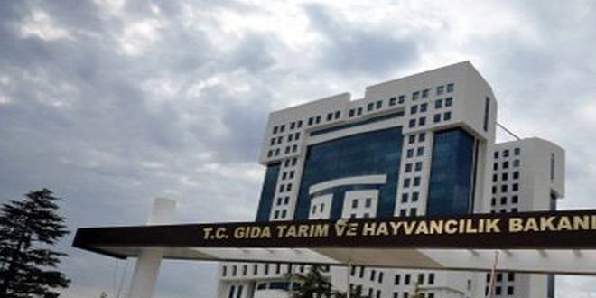 Sığır Cinsi Hayvanların Tanımlanması, Tescili ve İzlenmesi Yönetmeliğinde Değişiklik